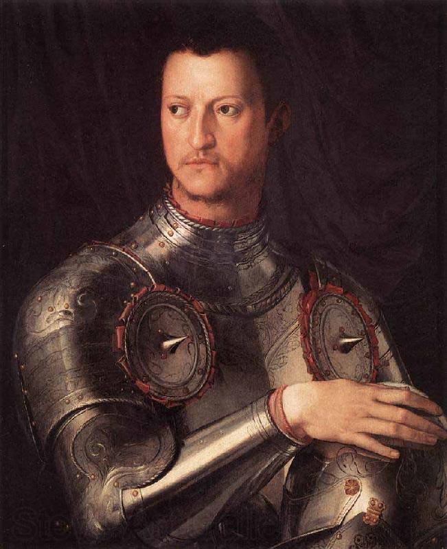Agnolo Bronzino Portrait of Cosimo I de Medici Norge oil painting art